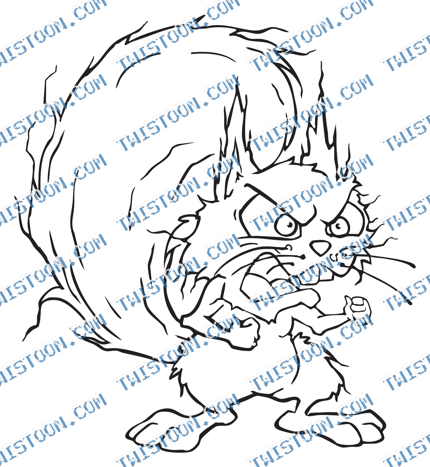Angry Squirrel