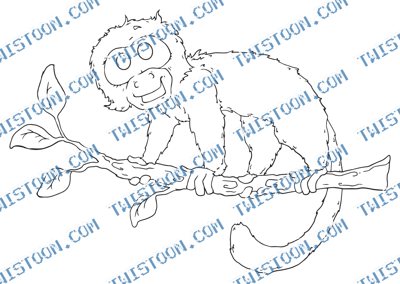 Capuchin Monkey On Branch