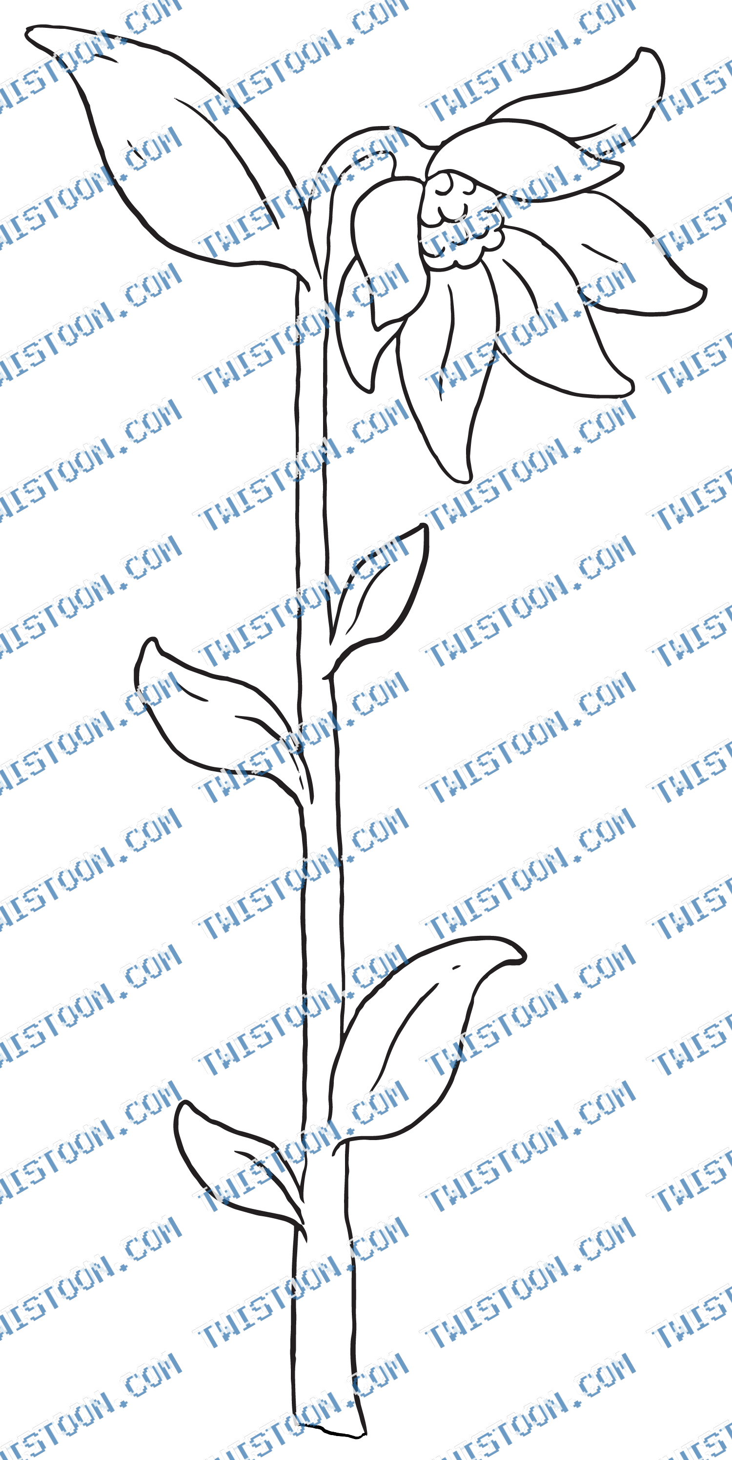 Flower1