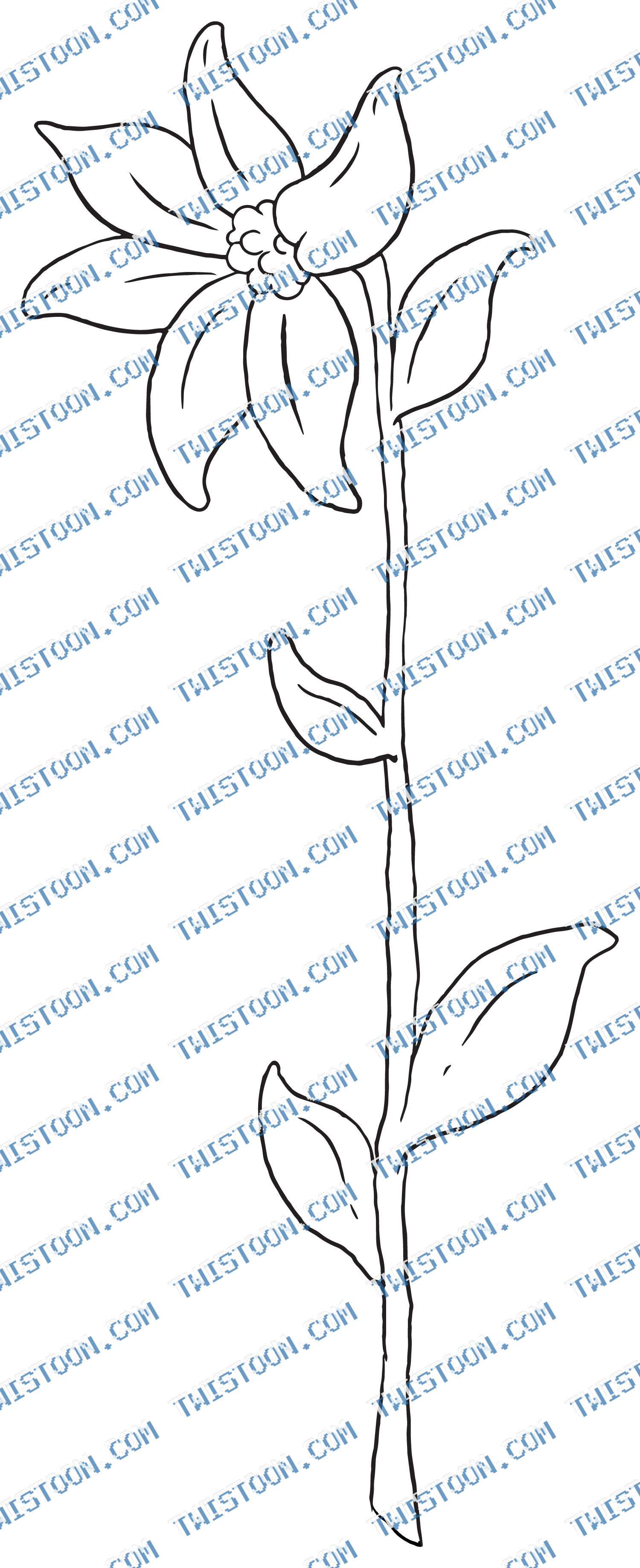 Flower2