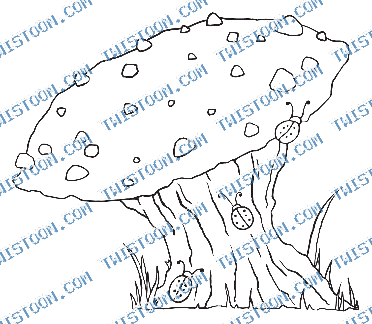 Georges Favourite Mushroom
