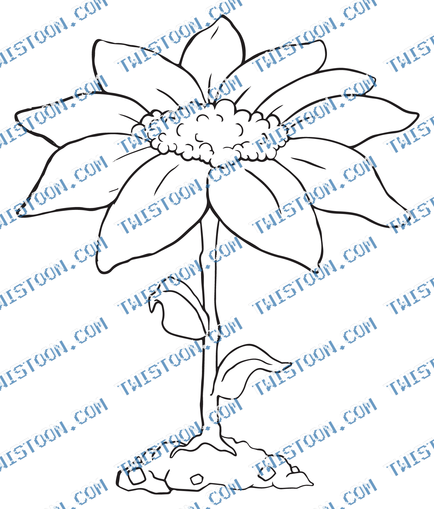 Moon Flower