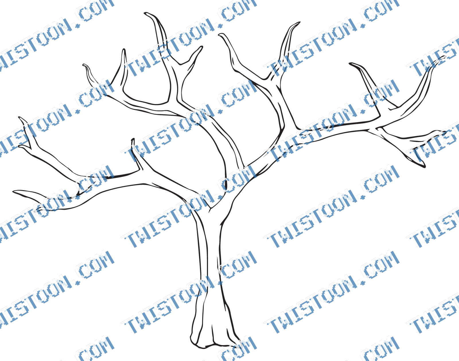 Winter Tree